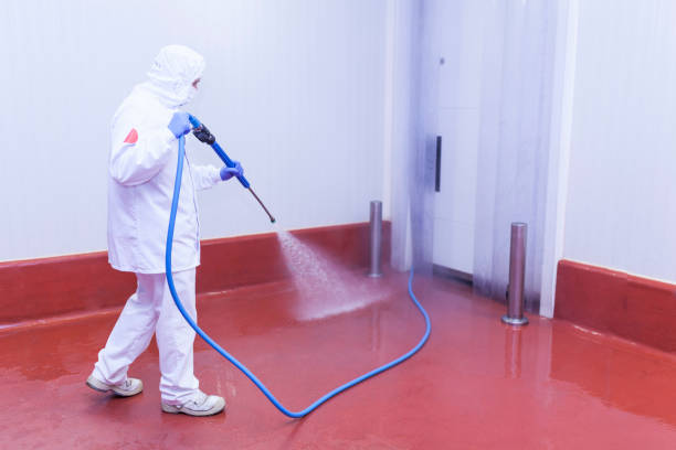 Pre-Holiday Cleaning in South Elgin, IL