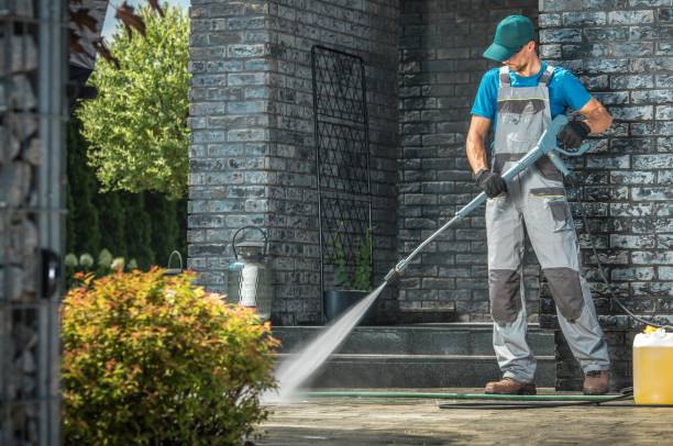 Best Gutter Cleaning  in South Elgin, IL