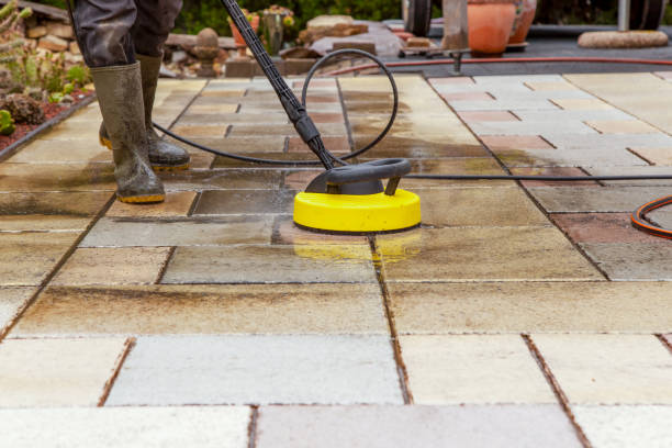 Best Pool Deck Cleaning  in South Elgin, IL